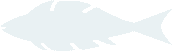 swiming-fish1