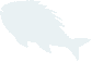 swiming-fish4