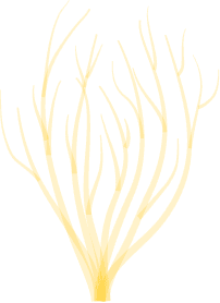 swiming-vector5