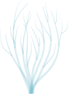 swiming-vector9